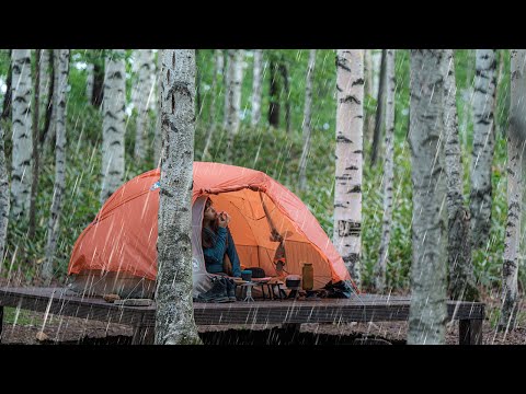 RAINY and STORMY Birch Forest Camping Alone rain ASMR