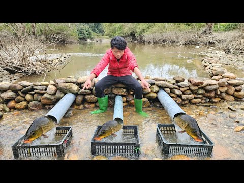 The boy used PVC pipes placed in the stream to trap fish