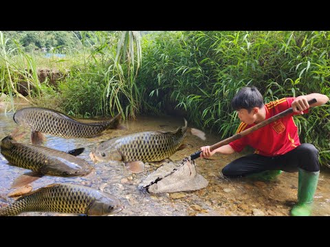 The boy Lam discovered a school of big fish in the stream
