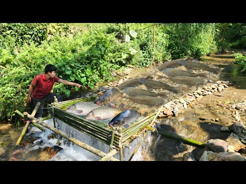 The boy Lam used bamboo to make a fish trap in the stream