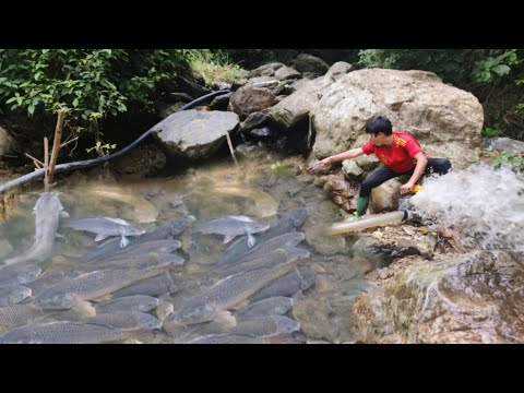 Full video of 60 days of fishing with pump and other