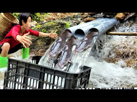 Full video of 30 days of a boy fishing and using plastic