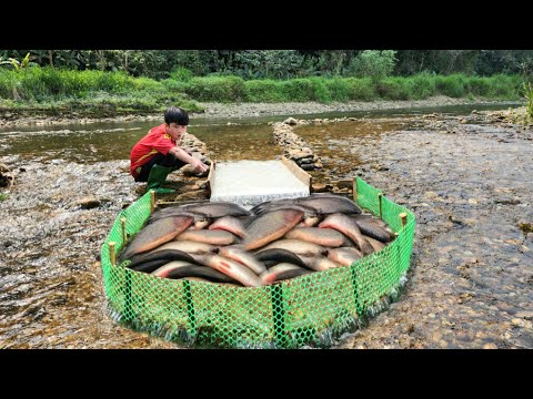 The boy Lam s unique way of trapping fish caught a lot of