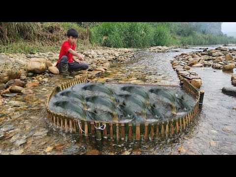 Tips for catching fish using bamboo The young man harvested