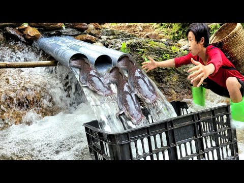 The boy used a plastic pipe as a fish trap Luckily he