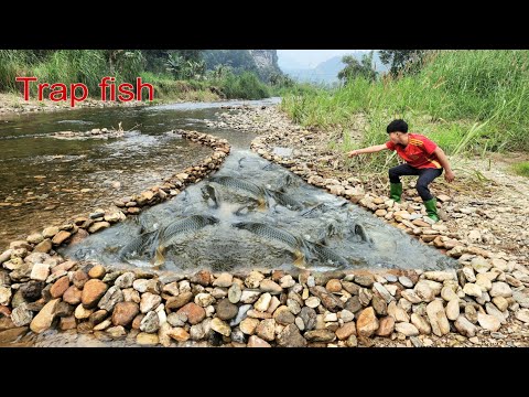 Lam arranged rocks to form a fish trap close to the stream