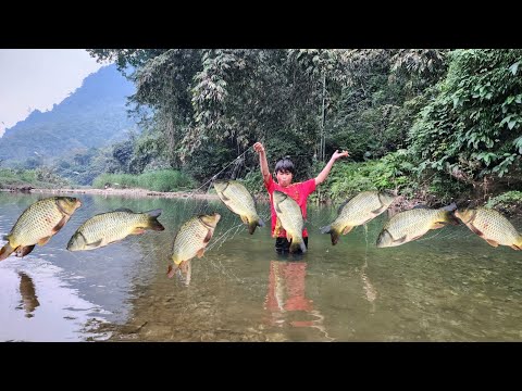 The boy cast a net in the stream He caught a large school