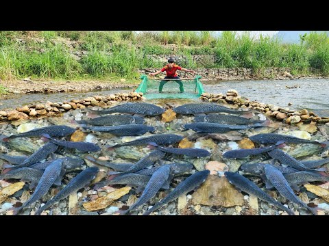 The boy arranged rocks in the stream to create a unique