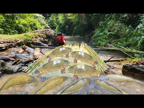 Making an ancient fish trap Boy Lam caught a lot of fish in