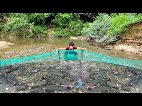 Boy Lam used a net to catch fish in the stream luckily