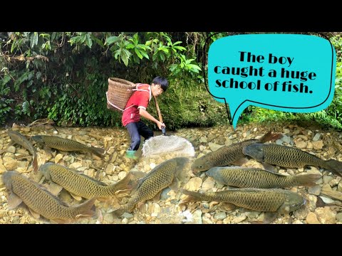 The boy went to scoop up big fish in the stream
