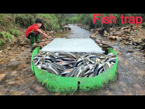 The boy Lam made a fish trap And luckily caught many fish