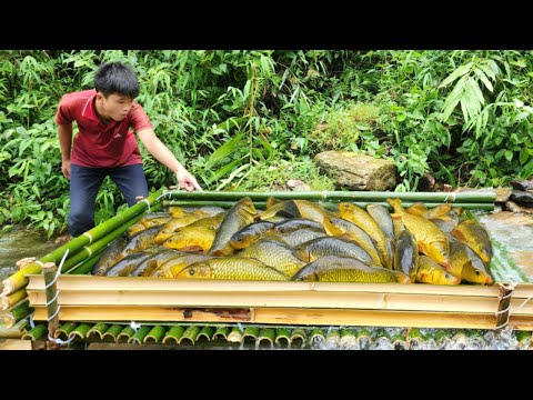 The boy caught fish using the ancient method of trapping