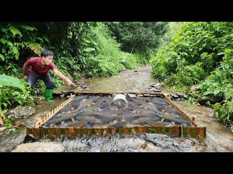 Boy Lam made a fish trap from bamboo Unexpectedly caught a