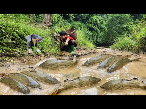 Discovering a school of fish in a puddle Lam used a bucket