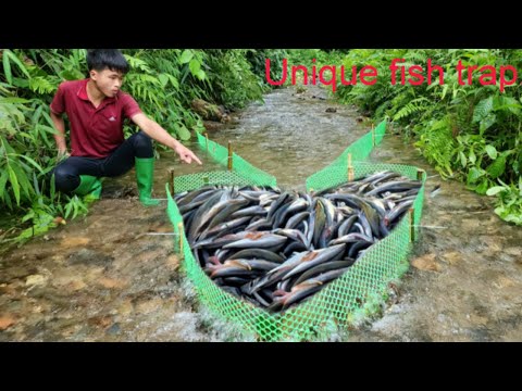 Detailed video of 45 days of making a fish trap in the