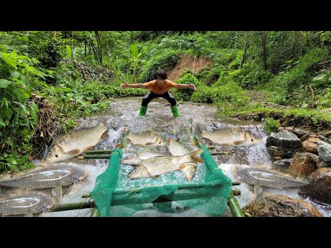 The boy Lam used nets and bamboo to make traps to catch