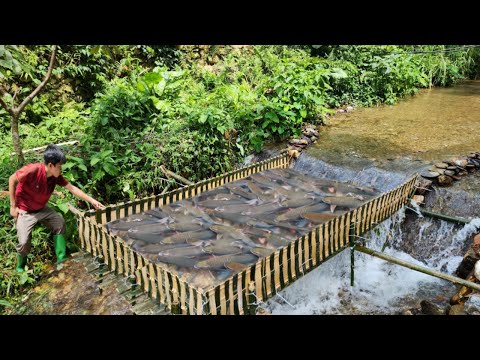 Talented boy shows off his skillful fishing skills Weaving