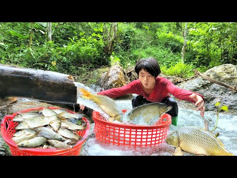 The boy used bamboo to make holes to make a fish trap and