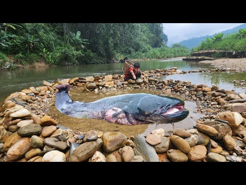 The boy Lam Xep made a trap in the stream and unexpectedly