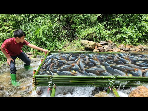 The talented boy used bamboo to create a trap to catch fish