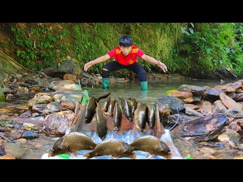 Unique fishing method of boy Lam Caught many big fish in