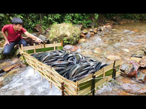 The genius boy made his own bamboo fish trap And luckily he