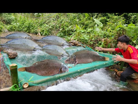 Full video of 21 days of fishing in the stream The boy