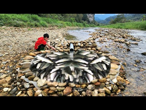 How to trap fish with plastic pipes is surprisingly