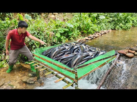 The boy made a fish trap by himself The result surprised