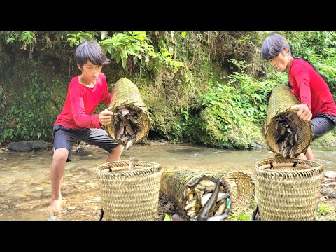 The boy went to drop bamboo baskets in the stream and