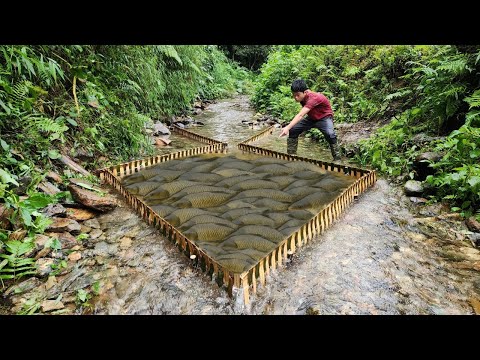 Fishing using traditional methods The boy Lam caught a lot