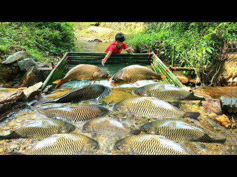 Full video of 32 days of fishing using the ancient French