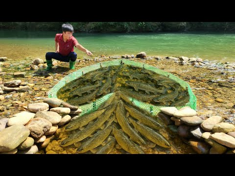 Full video of 28 days of Lam fishing in the stream using