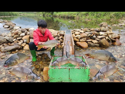How to trap fish with a wooden slide And catch a lot of big