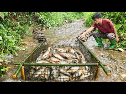 The boy Lam used a black net to make a fish trap and caught