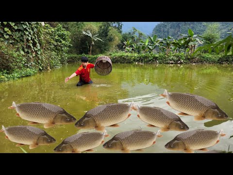 Discovering a large school of fish in an abandoned pond Lam