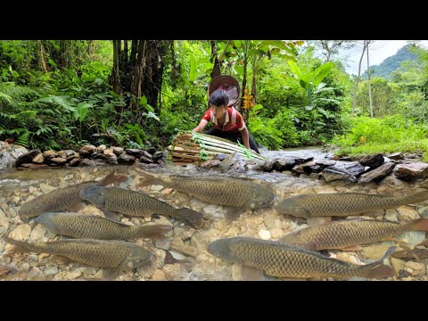 Primitive fishing skills Make bamboo traps to catch fish
