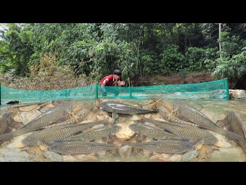 Lam used a fishing net to catch fish in the big stream