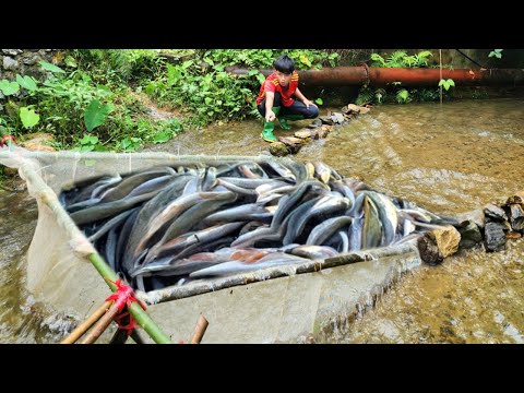 The boy used a white net to make a fish trap Luckily he