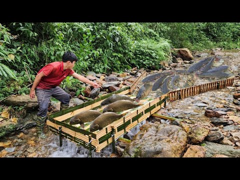 Full video of the 29 days the boy made a fish trap in the