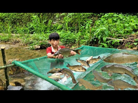 Full video of 26 days of fishing with many methods by boy