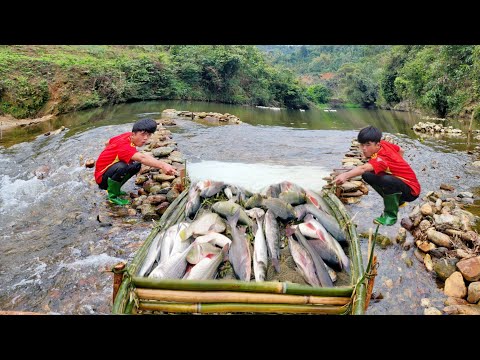 Unexpectedly harvested giant fish using a unique French