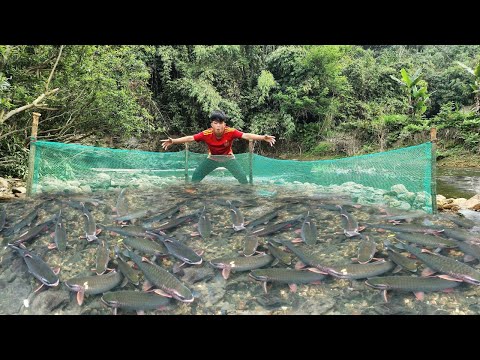 Discovering a school of fish in the stream the boy Lam