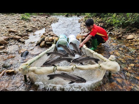 Very unique way to trap fish Use a discarded paint bucket