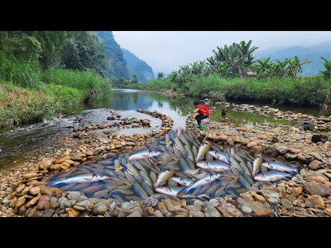 Full video of 90 days of making fish traps in a big stream