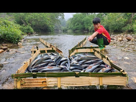 The boy Lam made his own bamboo fish trap and unexpectedly