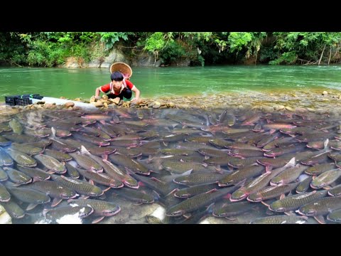 Survival Skills Boy Demonstrates Traditional Fishing