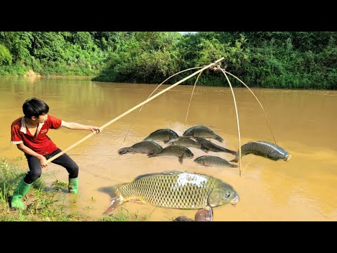 Fishing in flood season boy Lam caught many fish in the big