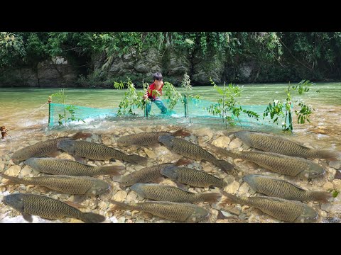 Boy Lam used a net to catch fish in the stream luckily